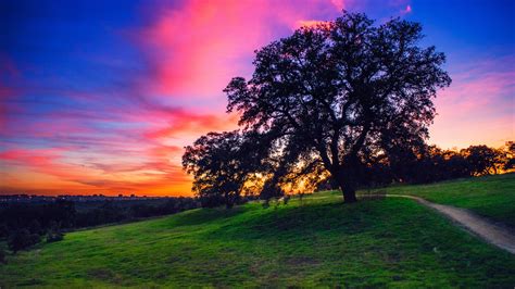 Free Images Landscape Tree Nature Horizon Cloud Sunrise Sunset Field Meadow Prairie