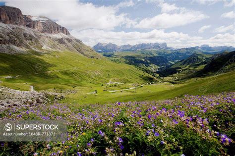 Sella Group Seen From Pordoi Pass Dolomites Pordoijoch South Tyrol