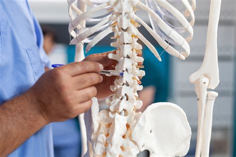 Spinal Cord Injuries From Car Accidents The Callahan Law Firm