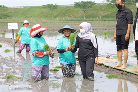 Sensus Pertanian 2023 Dimulai 1 Juni Gubernur Khofifah Optimis Hasil