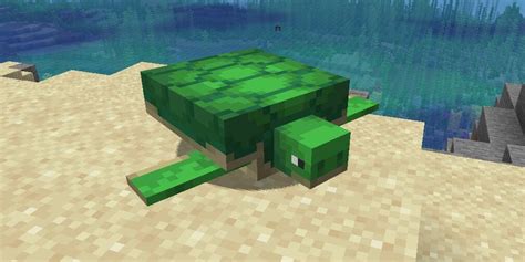 Minecraft: How to breed Turtles | Pocket Gamer