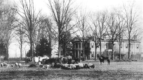 History | The Belmont 1857