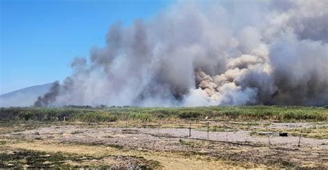 Fuego Consume Maleza Y Lirios Secos De La Laguna De Yuriria Se