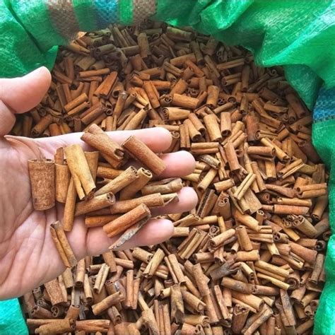 Jual Kayu Manis Stik Cm Gr Cinnamon Stick Keningar Cm Shopee