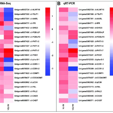 Qrt Pcr Validation Of Selected Degs Rna Seq And Qrt Pcr Data Are