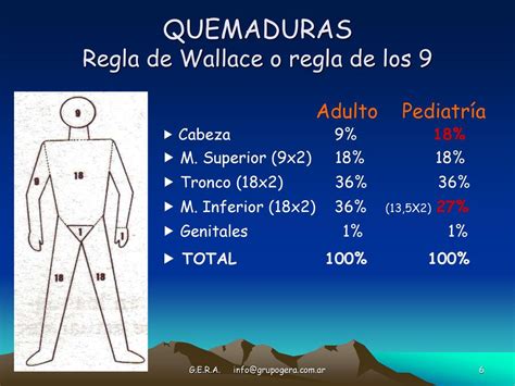 Regla De Wallace Test Enfermer A