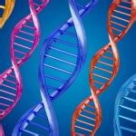 Methylation Cycle – Nutrition Genome