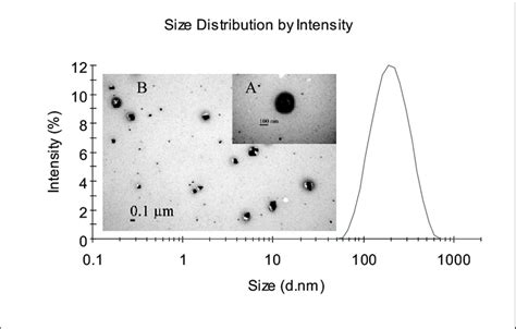 Size Distribution Diagrams Of Silverchitosan Composites Insert A And Download Scientific