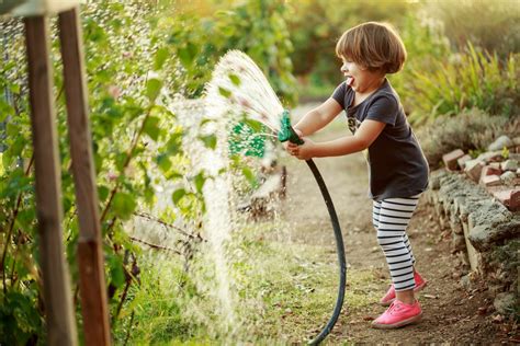 Effective Watering Tips Cultivation Street