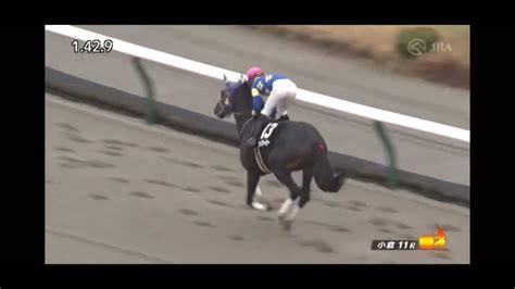 和布刈特別 ダ1700m 右 ゴッドブルービー 牡4 570 角田大和 2024120 出走馬：タイセイウォリアー、アイファーテイ