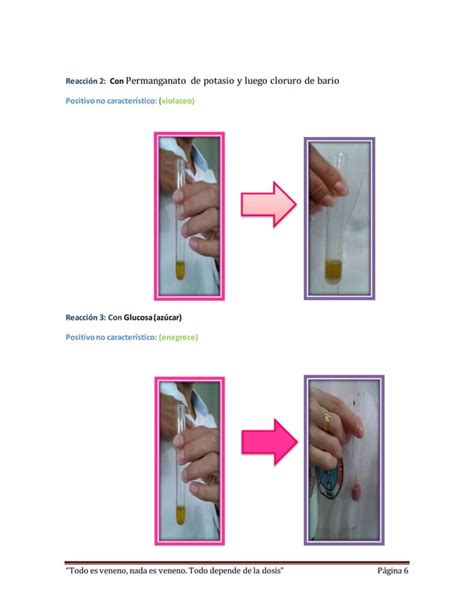 Acido Sulfurico Practica Pdf