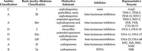 Types Of Beta Lactamases That Mostly Occur In Enterobacteriaceae Based