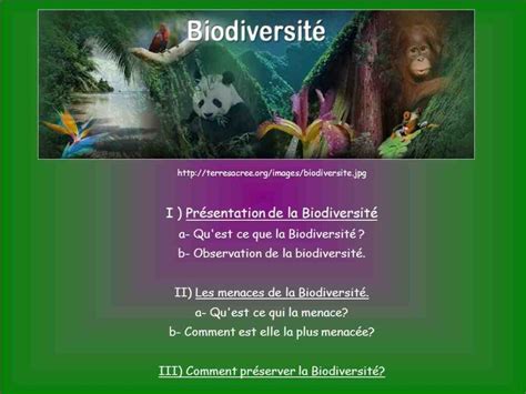 Comment Faire Pour Protéger La Biodiversité Lecologie De Demain