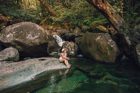 Daintree Rainforest - Drop Bear Adventures