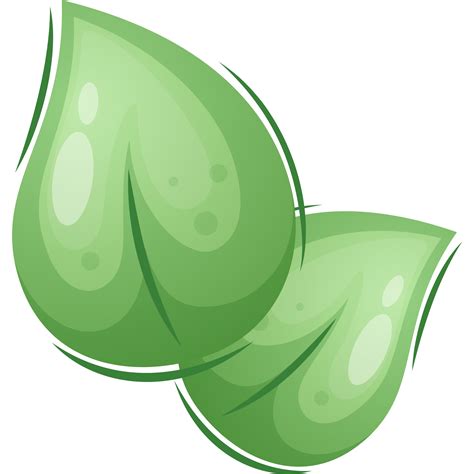 Hojas Verdes De Dibujos Animados Png