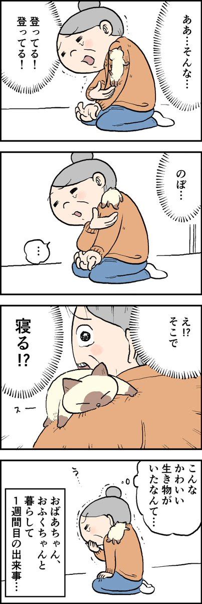 湾子 山盛り肉じゃが on Twitter RT yajima kenji 子猫を飼い始めて情緒が忙しいおばあさんのマンガ 猫の日