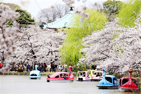 Tokyo Attractions: 5 Things to Do During a Vacation in Japan