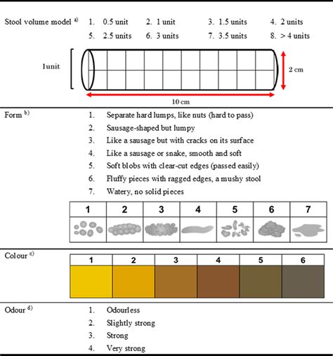 Tool for assessment of faecal volume, form, colour, and odour. (a) The... | Download Scientific ...