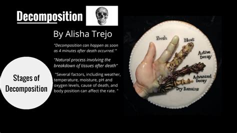 Decomposition By Alisha Trejo