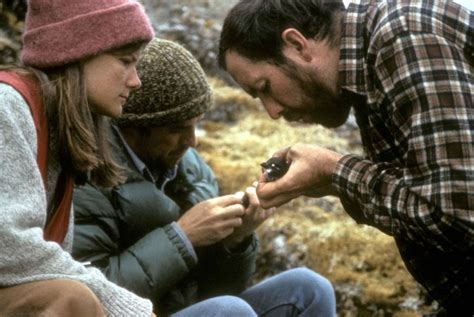 Free picture: biologists, checking, brood, patches, least auklet