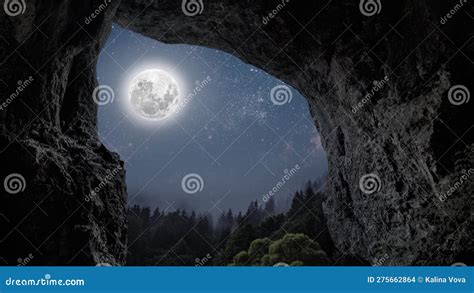 Night Sky in the Forest with Stars and Moon Stock Photo - Image of full ...