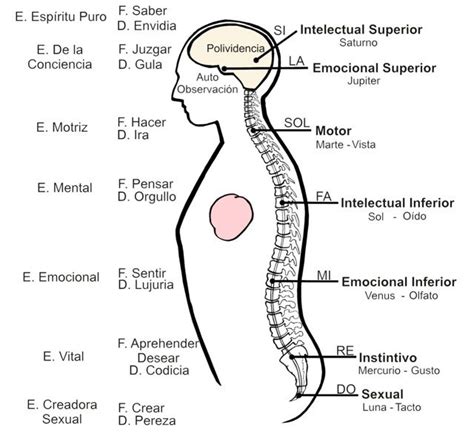 Ashamel Lemagsa David Topí Equilibrando los centros del cuerpo humano