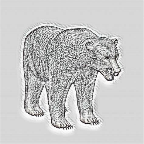 Brown Bear Sketch Free Stock Photo - Public Domain Pictures