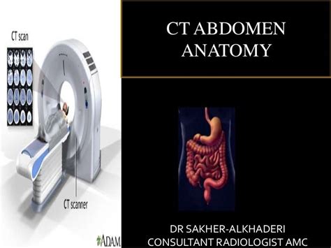 CT ABDOMEN ANATOMY