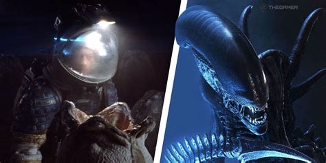 Alien Xenomorph Life Cycle Explained