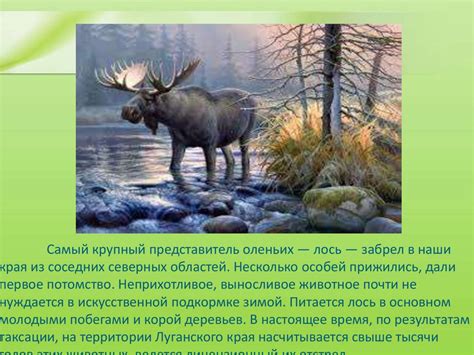 Позвоночные животные - презентация онлайн