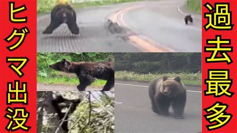 【緊迫】クマに襲われた消防隊員 下敷きになり首にナイフを刺しクマを蹴って石を投げながら下山 レンレンのとりざた速報