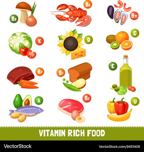 Vitamin Rich Food Products Royalty Free Vector Image