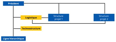 Les Nouvelles Structures Dorganisation Le Passeport Du Manager