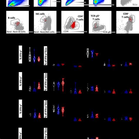 Flow cytometry antibody staining panel | Download Scientific Diagram