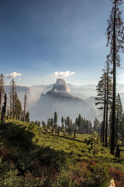 HD wallpaper: tall pine trees, Panorama Trail, Yosemite National Park ...