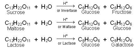 Disaccharide - Study Material for IIT JEE | askIITians