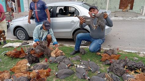 Vanio Da Feira Das Galinhas Mostrando As Novidades Da Feira De