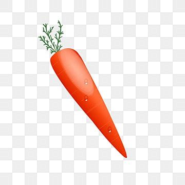 Simple Carrot Hand Painting Cartoon Carrot Cartoon Carrot Simple