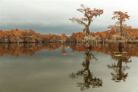 Refocus Awards Gayle Pepper Honorable Mention Landscapes