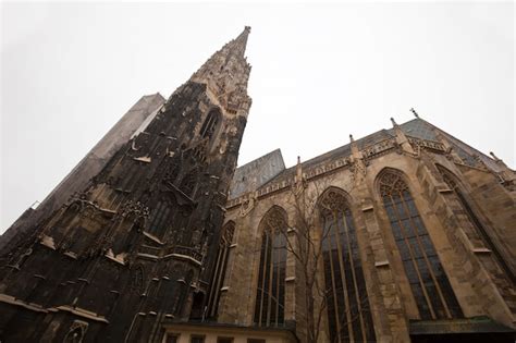 Catedral De San Esteban En Viena Foto Gratis