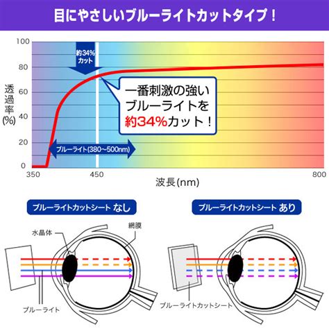 CASIO Collection STANDARD ABL 100WE ABL 100WEG 保護フィルム OverLay Eye