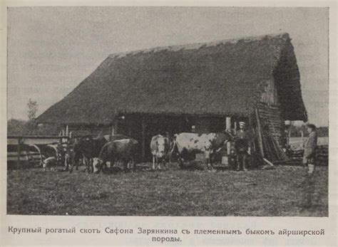 Списки и фотографии премированных в 1913 году хозяйств Витебской ...