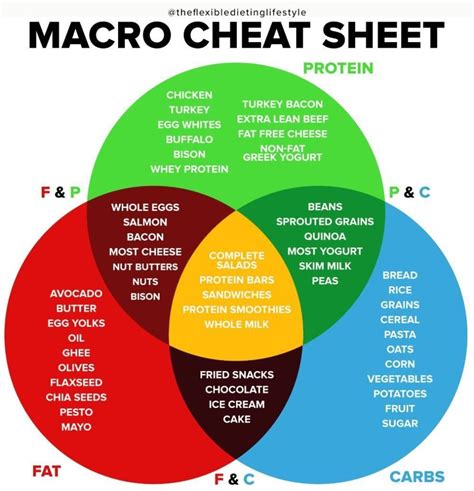 Understanding Macros Protein Carbs And Fats Explained Kawanabe