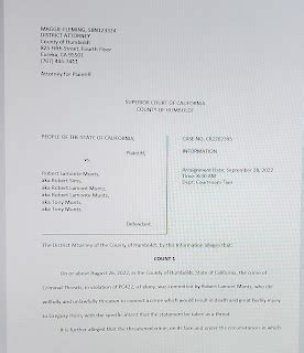 John Chiv Convicted Sex Offender Puts On A Show In Court To Deflect