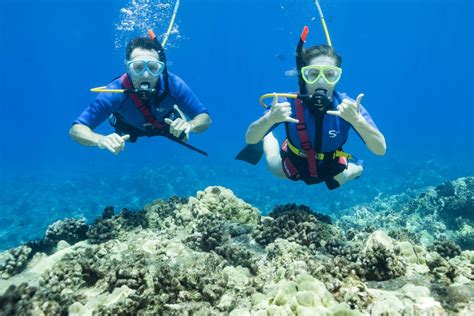 SNUBA VS SNORKELING: YOU CAN FIND BOTH ON THE FOUR WINDS & MAUI MAGIC ...