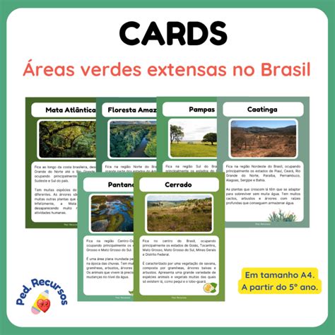 Cards Biomas Brasileiros Educa Market