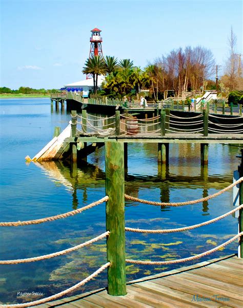 The Villages, Florida - Maureen Terrien Photography