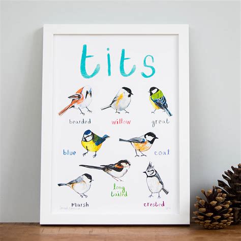 Tits Illustrated Bird Art Print By Sarah Edmonds Illustration Notonthehighstreet