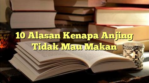 10 Alasan Kenapa Anjing Tidak Mau Makan