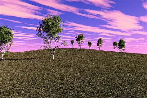 Free Images Landscape Tree Nature Horizon Cloud Sky Sunset Field Meadow Prairie